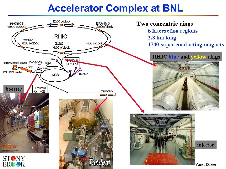 Accelerator Complex at BNL Two concentric rings 6 interaction regions 3. 8 km long