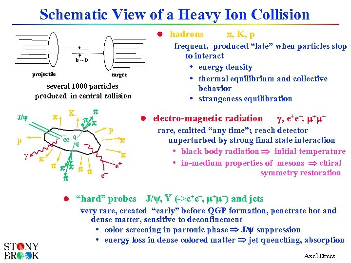 Schematic View of a Heavy Ion Collision b~0 projectile target several 1000 particles produced
