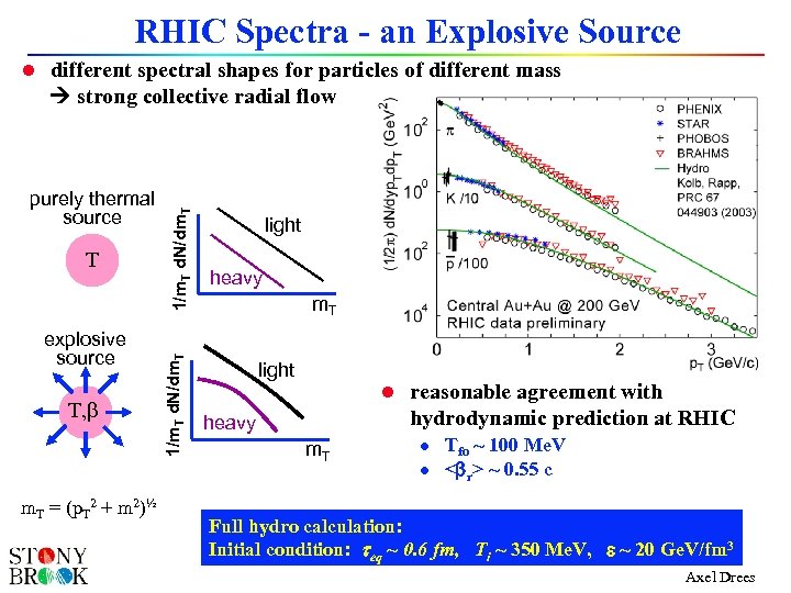 RHIC Spectra - an Explosive Source l different spectral shapes for particles of different