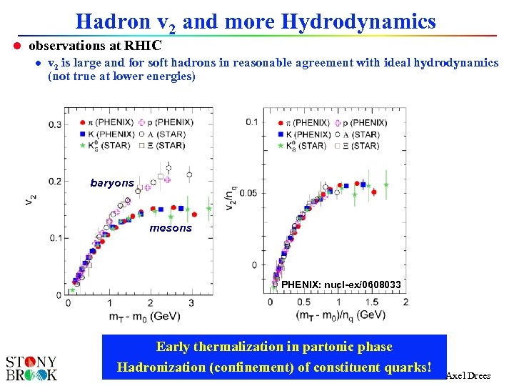 Hadron v 2 and more Hydrodynamics l observations at RHIC l v 2 is