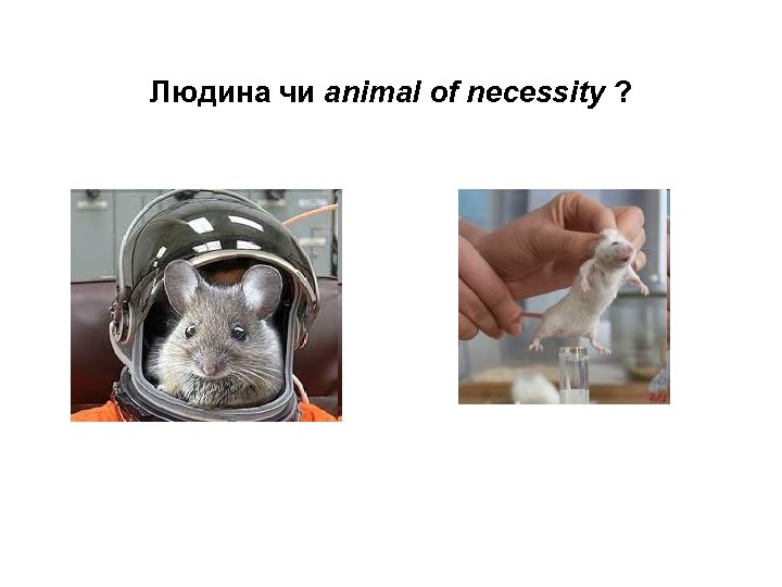 Людина чи animal of necessity ? 