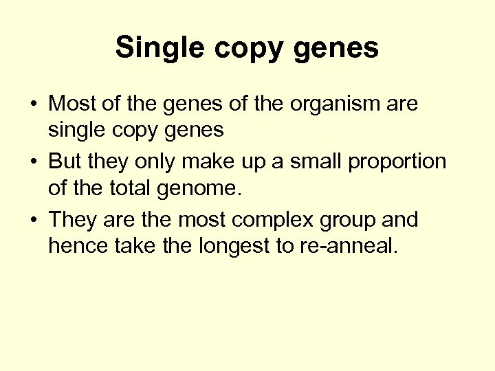 Single copy genes • Most of the genes of the organism are single copy