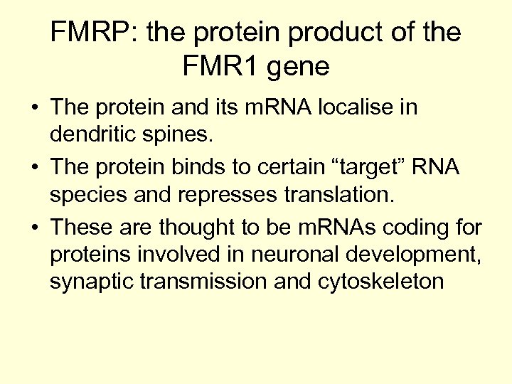 FMRP: the protein product of the FMR 1 gene • The protein and its