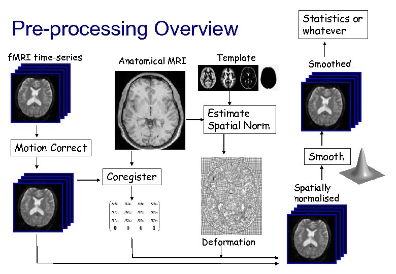 Pre-processing Overview f. MRI time-series Anatomical MRI Template Statistics or whatever Smoothed Estimate Spatial