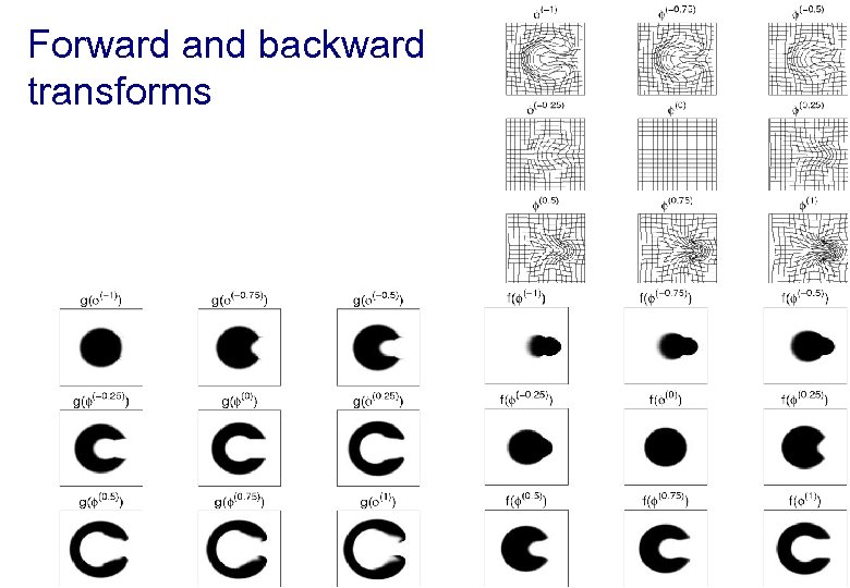 Forward and backward transforms 