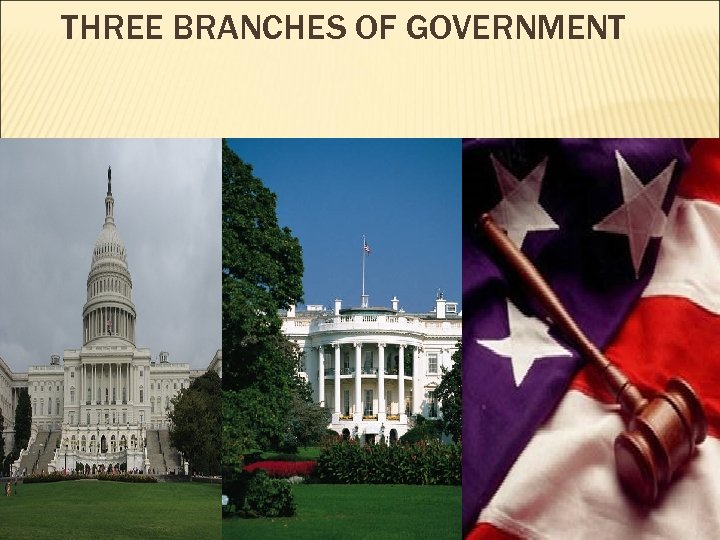THREE BRANCHES OF GOVERNMENT 