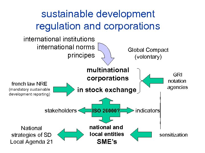 sustainable development regulation and corporations international institutions international norms principes french law NRE (mandatory