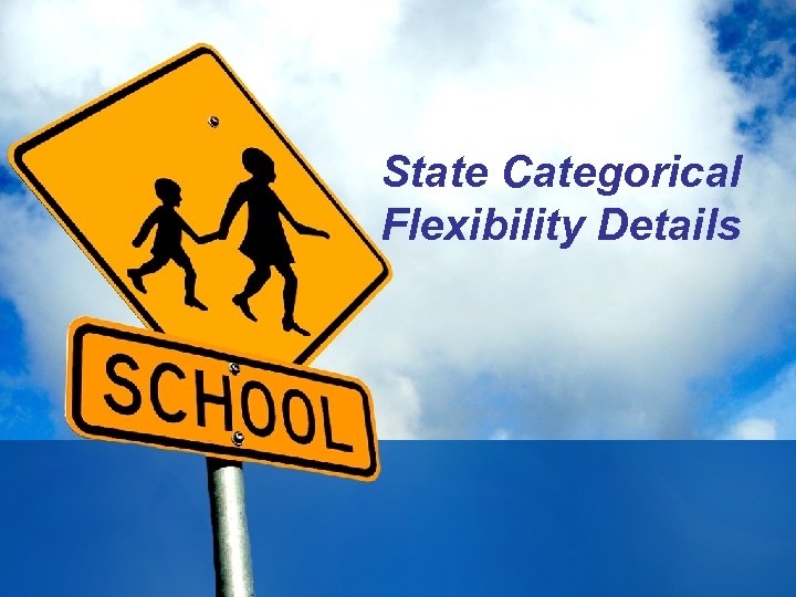 State Categorical Flexibility Details 