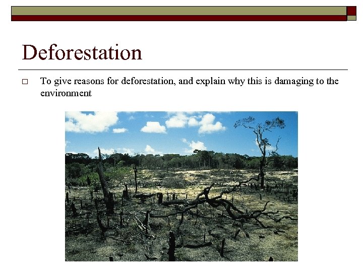 Deforestation o To give reasons for deforestation, and explain why this is damaging to