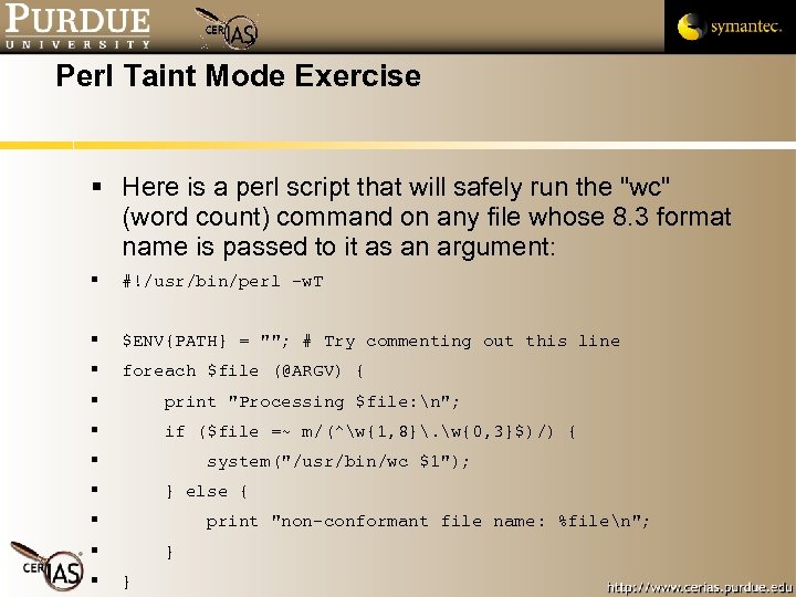Perl Taint Mode Exercise Here is a perl script that will safely run the