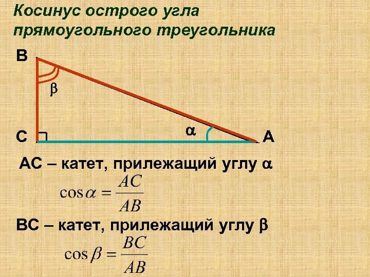 Синус косинус тангенс котангенс чертеж