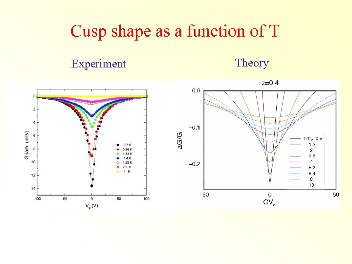 Cusp shape as a function of T Experiment Theory 