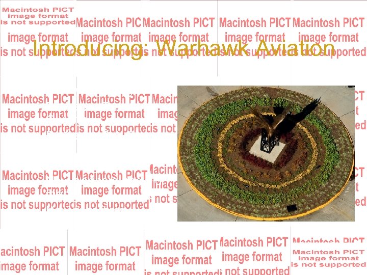 Introducing: Warhawk Aviation • Small but Mighty – Professor Prashant Gurung – Professor Bob