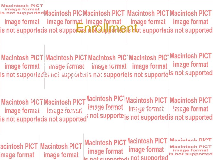 Enrollment • Traditionally ULM Aviation enrolls 50 – Traditionally 3 Professors • Current enrolment