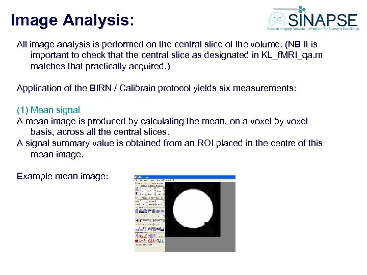 Image Analysis: All image analysis is performed on the central slice of the volume.