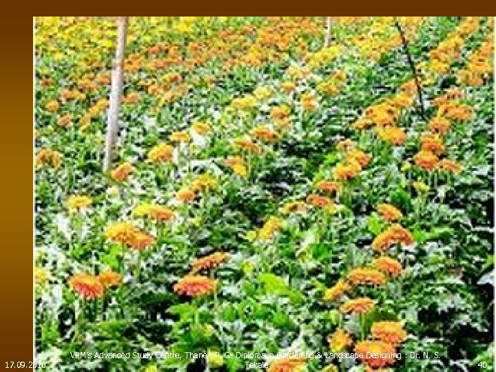 17. 09. 2010 VPM's Advanced Study Centre, Thane : P. G. Diploma in Gardening