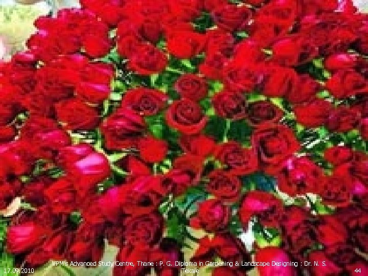 17. 09. 2010 VPM's Advanced Study Centre, Thane : P. G. Diploma in Gardening