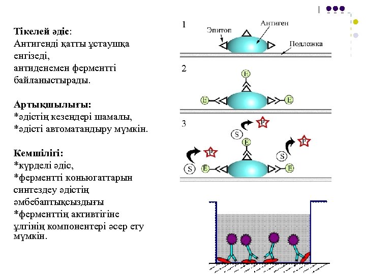Тікелей әдіс: Антигенді қатты ұстаушқа енгізеді, антиденемен ферментті байланыстырады. Артықшылығы: *әдістің кезеңдері шамалы, *әдісті