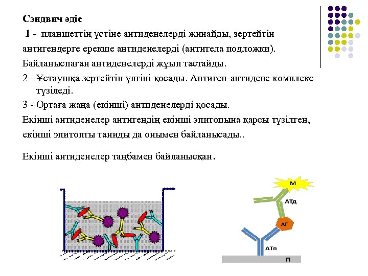 Сэндвич әдіс 1 - планшеттің үстіне антиденелерді жинайды, зертейтін антигендерге ерекше антиденелерді (антитела подложки).