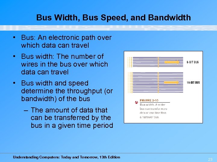 Bus Width, Bus Speed, and Bandwidth • Bus: An electronic path over which data