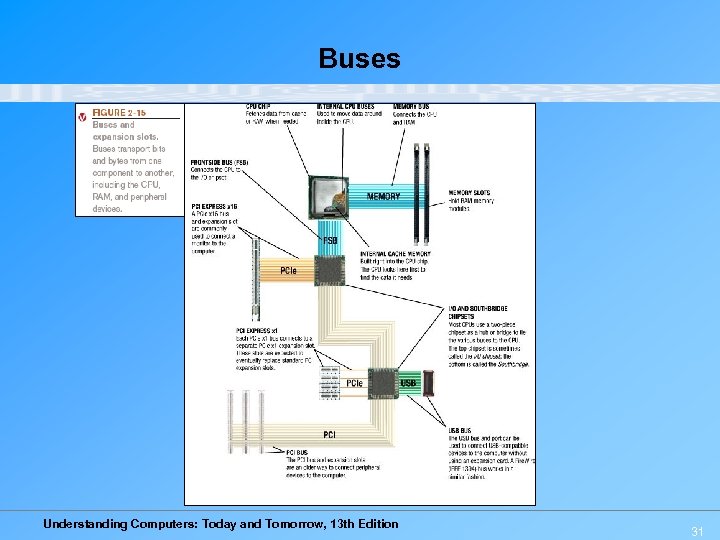 Buses Understanding Computers: Today and Tomorrow, 13 th Edition 31 