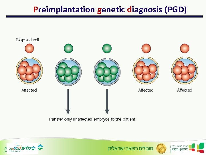 Preimplantation genetic diagnosis (PGD) 