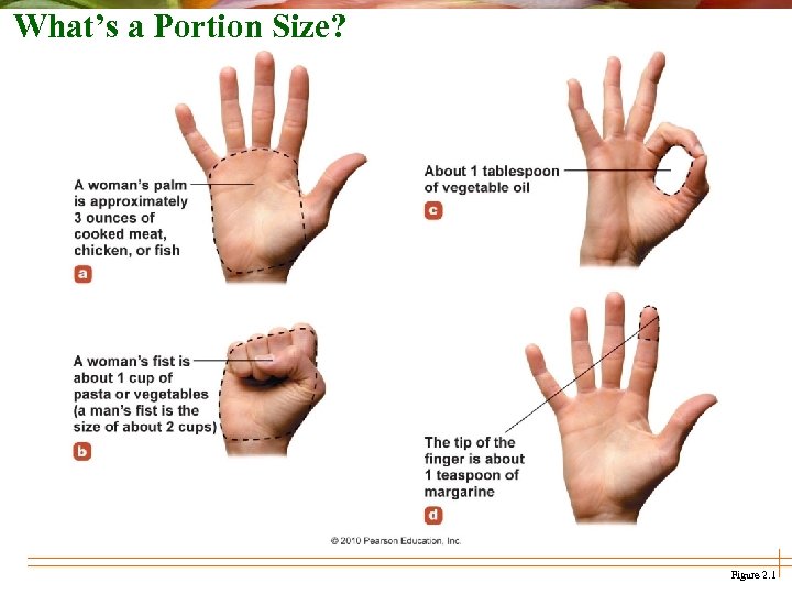 What’s a Portion Size? Figure 2. 1 