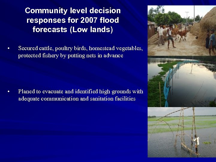 Community level decision responses for 2007 flood forecasts (Low lands) • Secured cattle, poultry