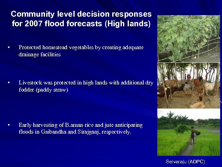 Community level decision responses for 2007 flood forecasts (High lands) • Protected homestead vegetables