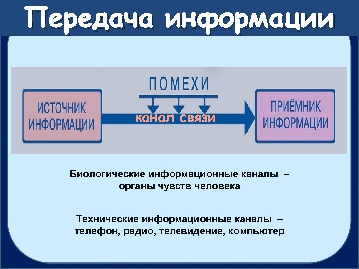 Передача информации канал связи Биологические информационные каналы – органы чувств человека Технические информационные каналы