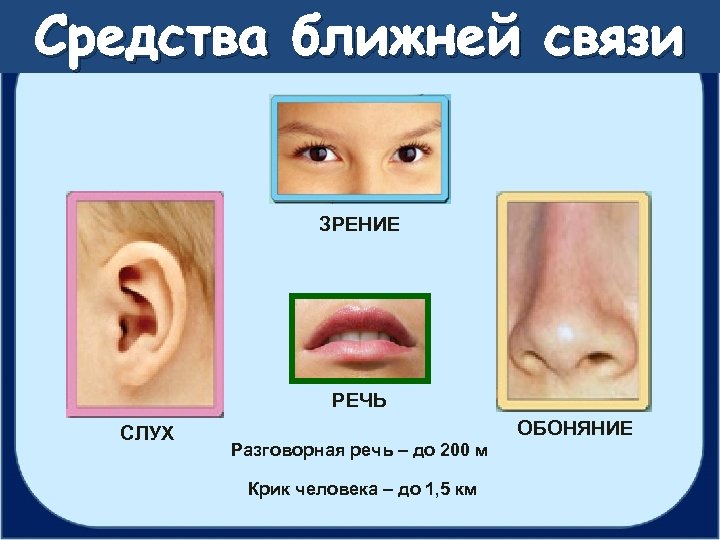 Средства ближней связи ЗРЕНИЕ РЕЧЬ СЛУХ ОБОНЯНИЕ Разговорная речь – до 200 м Крик