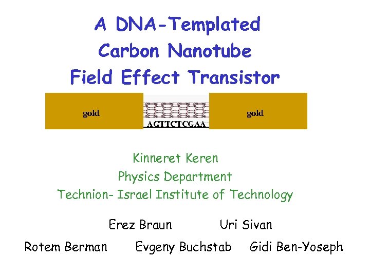 A DNA-Templated Carbon Nanotube Field Effect Transistor gold AGTTCTCGAA Kinneret Keren Physics Department Technion-