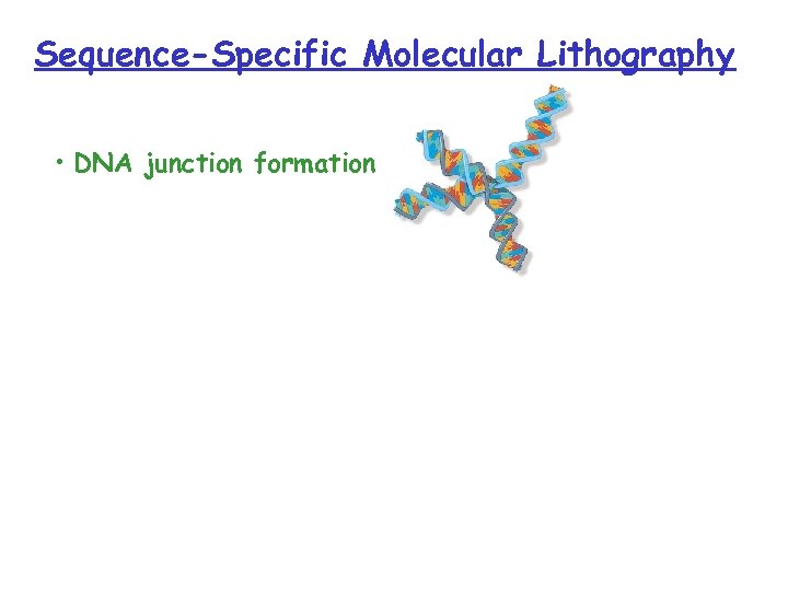 Sequence-Specific Molecular Lithography • DNA junction formation 