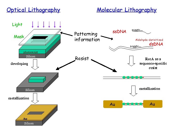 Optical Lithography Molecular Lithography Light Patterning information Mask ss. DNA acggtc. . . Aldehyde-derivitized