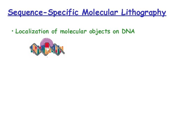 Sequence-Specific Molecular Lithography • Localization of molecular objects on DNA 