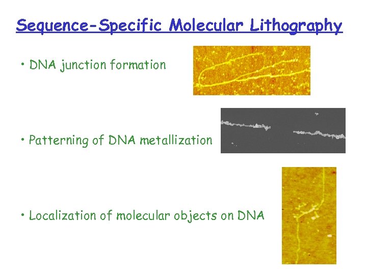 Sequence-Specific Molecular Lithography • DNA junction formation • Patterning of DNA metallization • Localization