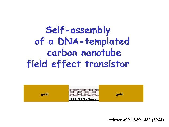 Self-assembly of a DNA-templated carbon nanotube field effect transistor gold AGTTCTCGAA Science 302, 1380