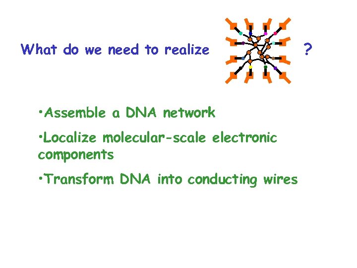 What do we need to realize • Assemble a DNA network • Localize molecular-scale