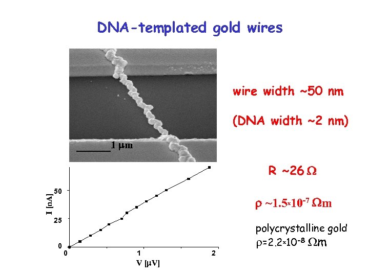 DNA-templated gold wires wire width ~50 nm (DNA width ~2 nm) 1 m I