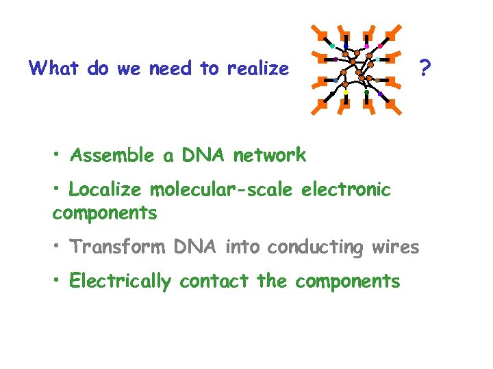What do we need to realize ? • Assemble a DNA network • Localize