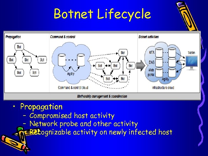 Botnet Lifecycle • Propagation – Compromised host activity – Network probe and other activity