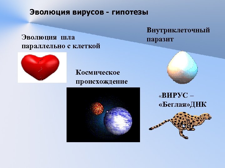 Эволюция вирусов - гипотезы Эволюция шла параллельно с клеткой Внутриклеточный паразит Космическое происхождение «ВИРУС