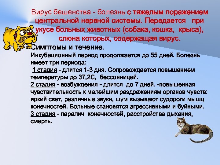 Вирус бешенства - болезнь с тяжелым поражением центральной нервной системы. Передается при укусе больных