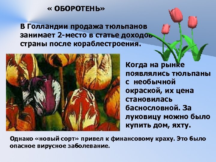  « ОБОРОТЕНЬ» В Голландии продажа тюльпанов занимает 2 -место в статье доходов страны