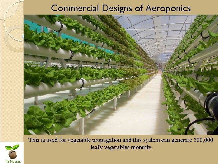 Commercial Designs of Aeroponics This is used for vegetable propagation and this system can