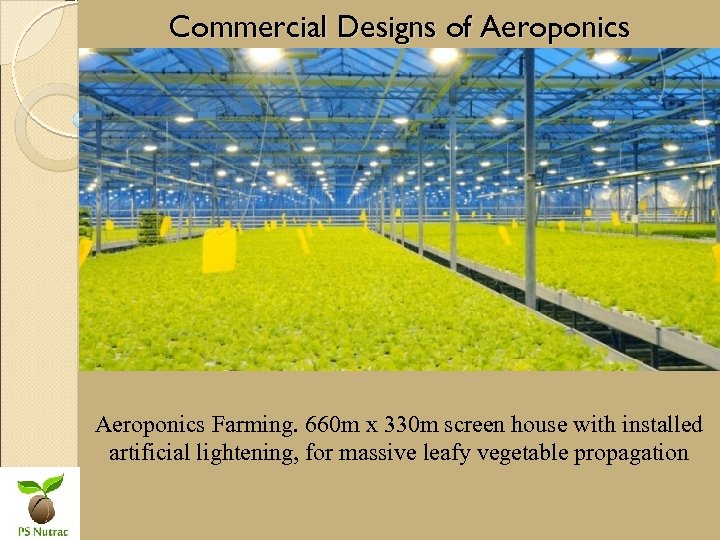 Commercial Designs of Aeroponics Farming. 660 m x 330 m screen house with installed