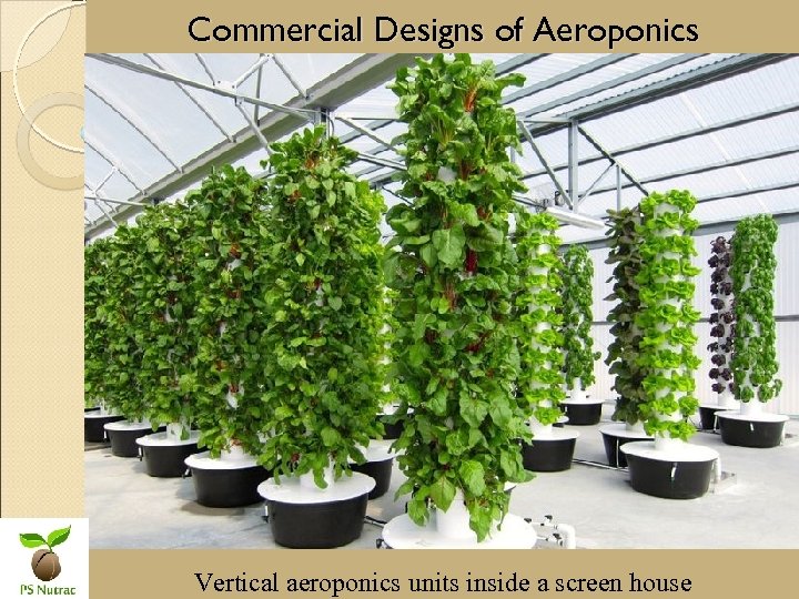 Commercial Designs of Aeroponics Vertical aeroponics units inside a screen house 