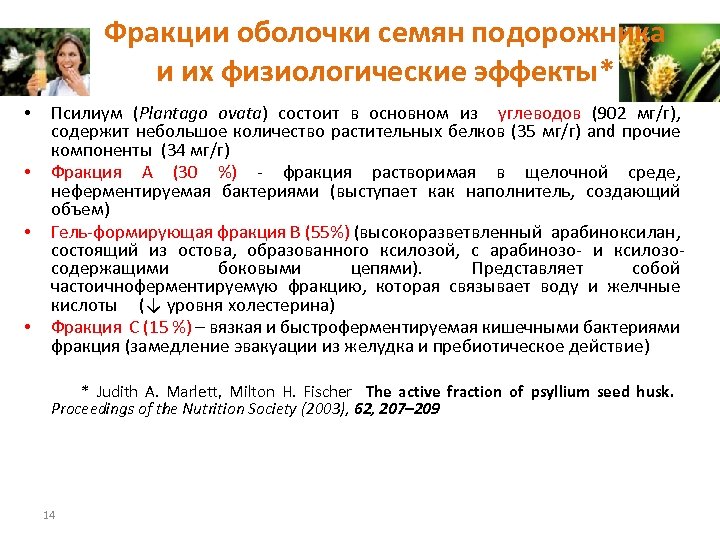Фракции оболочки семян подорожника и их физиологические эффекты* • • Псилиум (Plantago ovata) состоит