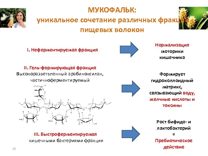МУКОФАЛЬК: уникальное сочетание различных фракций пищевых волокон I. Неферментируемая фракция II. Гель-формирующая фракция Высокоразветвленный