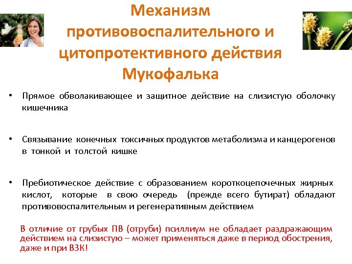 Механизм противовоспалительного и цитопротективного действия Мукофалька • Прямое обволакивающее и защитное действие на слизистую